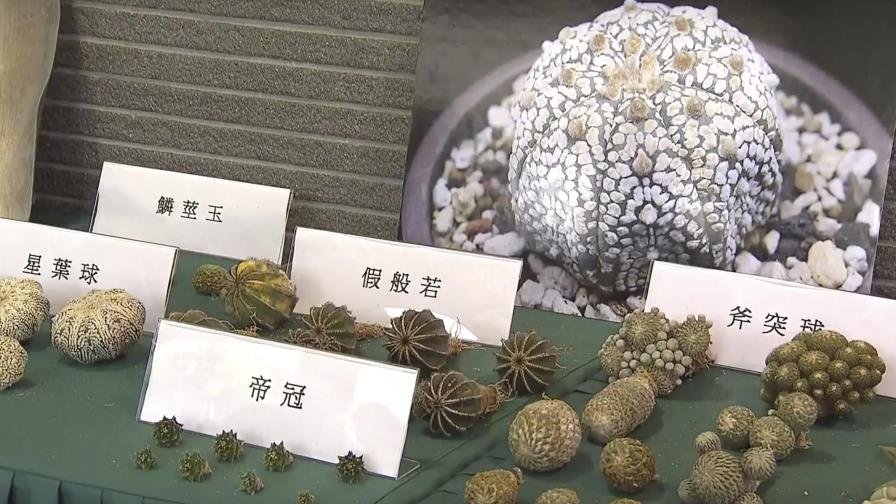 Hong Kong incauta 26,9 millones en bienes de contrabando