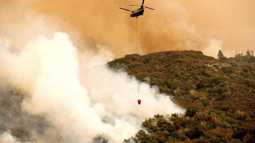 Incendios se dirigen a bosque de secuoyas en California