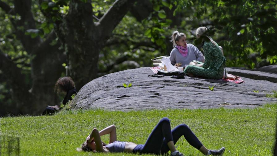 Nueva York reabre hipódromos y autódromo