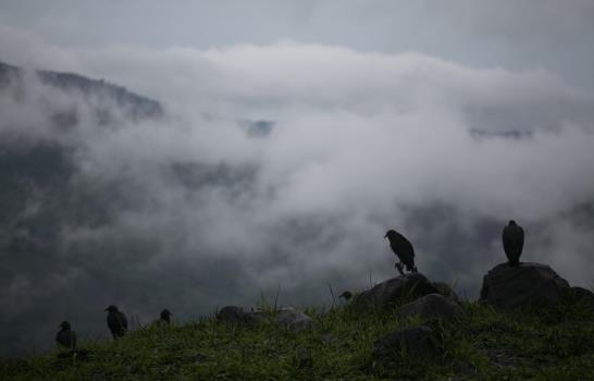 Centroamérica: Amanda deja 17 muertos y siete desaparecidos