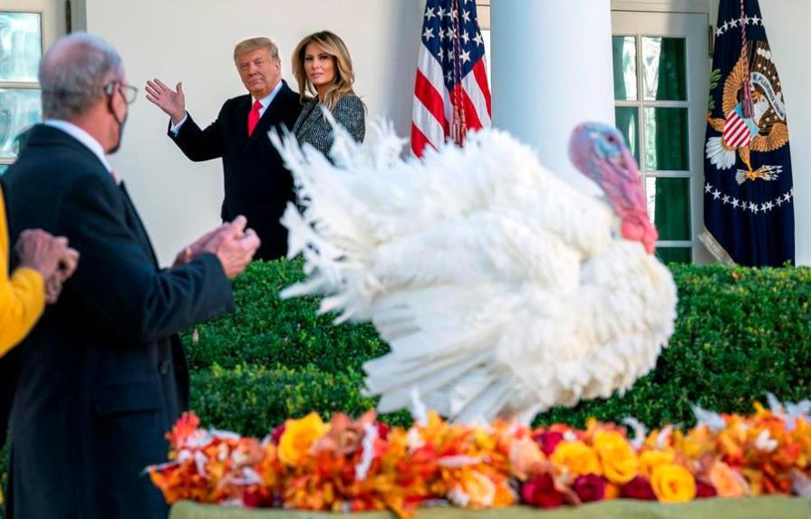 Trump indulta al pavo de Acción de Gracias mientras Biden presenta Gabinete