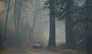 California: clima, refuerzos ayudan a combatir incendios