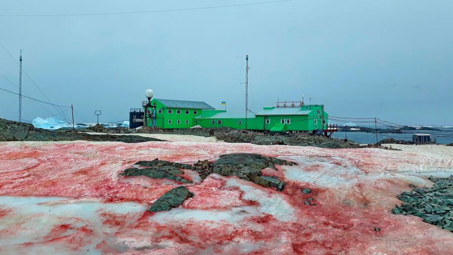 ¿Nieve roja? ¿Nieve roja?