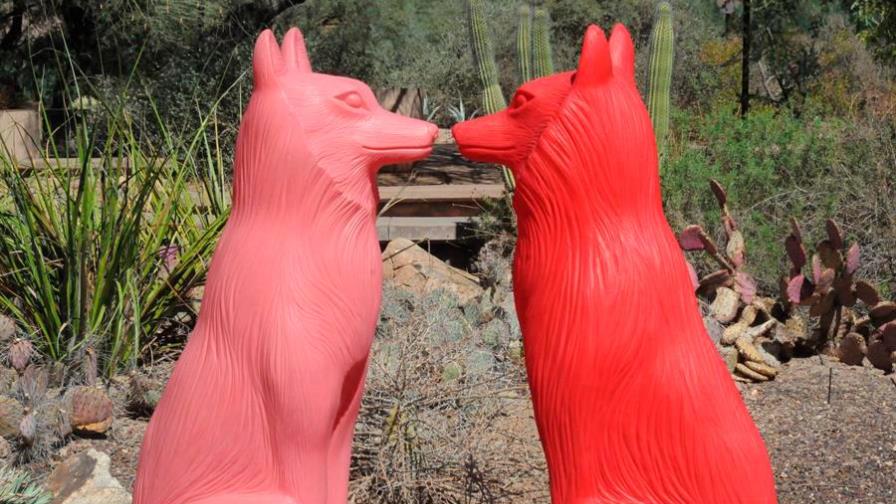 Arte plástico milanés invade Arizona en pos del medioambiente y de animales