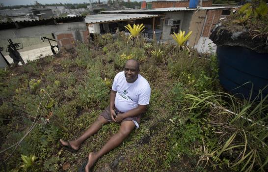 Vecinos de Río intentan llevar verde a la jungla urbana