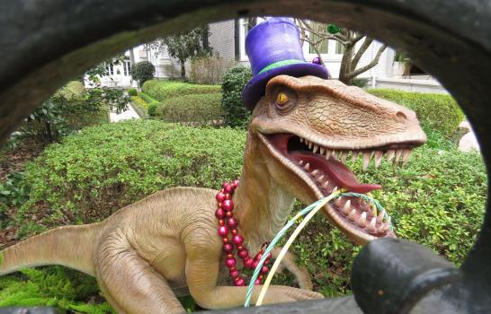 Mardi Gras: Sin desfiles, miles decoran casas como carrozas