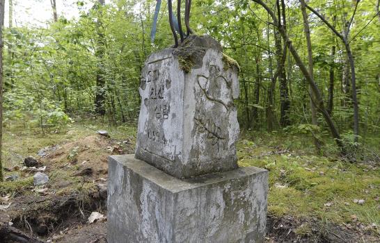 Documental retrata drama de huérfanos norcoreanos en Europa