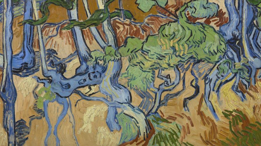 Investigador precisa el lugar del último cuadro de Van Gogh Investigador precisa el lugar del último cuadro de Van Gogh