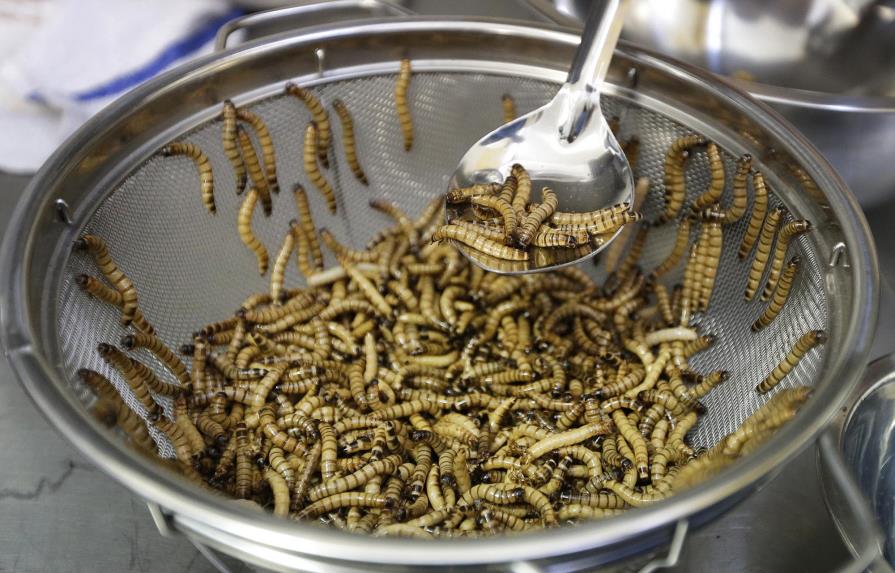 Agencia de la UE dice que es seguro comer gusanos