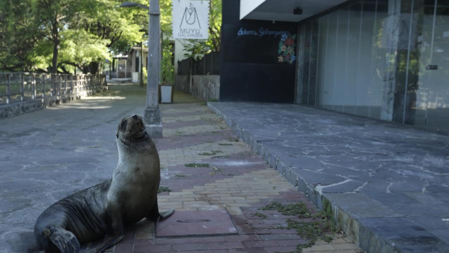 Galápagos abre parcialmente sitios de visita para turistas Galápagos abre parcialmente sitios de visita para turistas