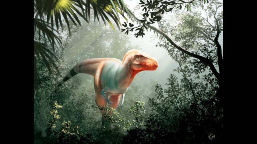 Descubren nueva especie de tiranosaurio en Canadá Descubren nueva especie de tiranosaurio en Canadá