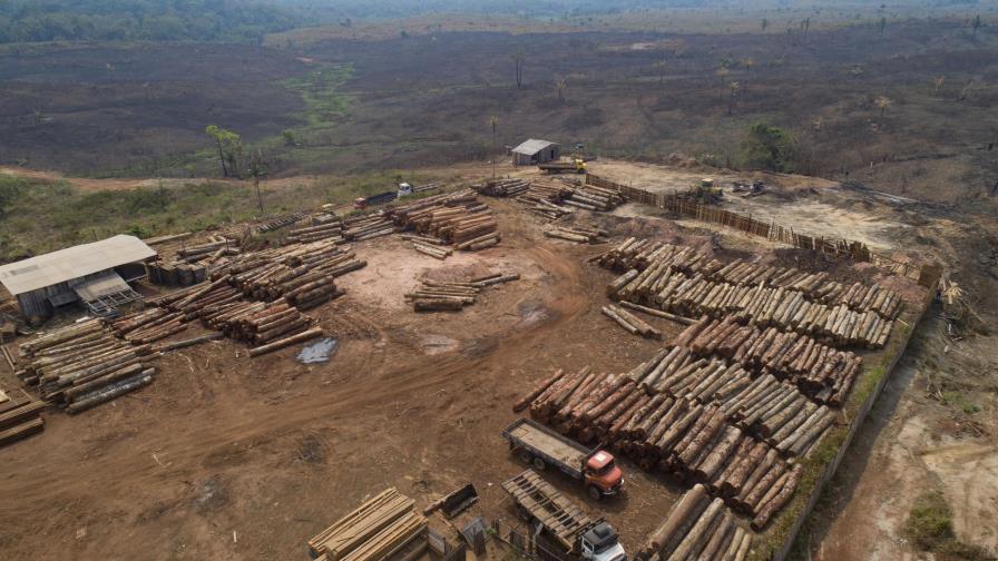 Fuentes: Brasil ocultó datos de deforestación por COP26