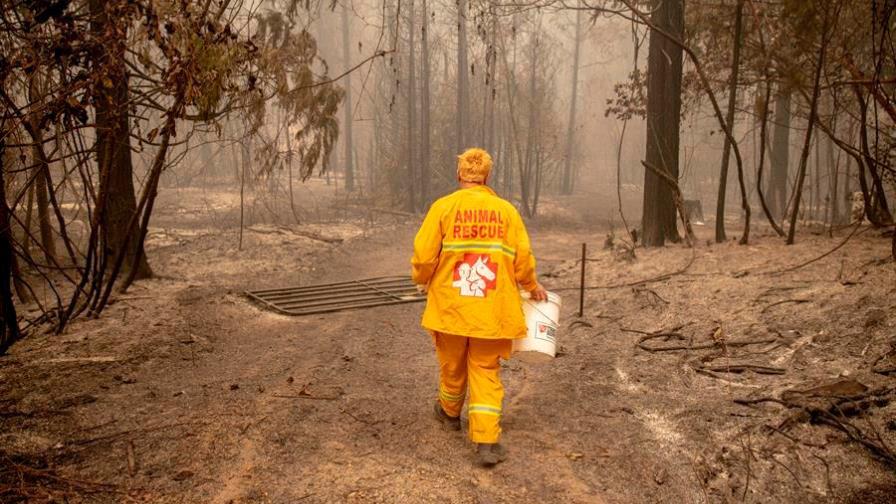 El tiempo da respiro a bomberos durante incendios en oeste EEUU, pero preocupa el pronóstico
