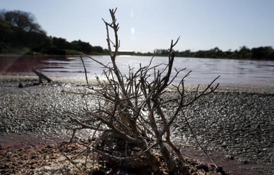Contaminación tiñe de púrpura laguna en Paraguay Contaminación tiñe de púrpura laguna en Paraguay