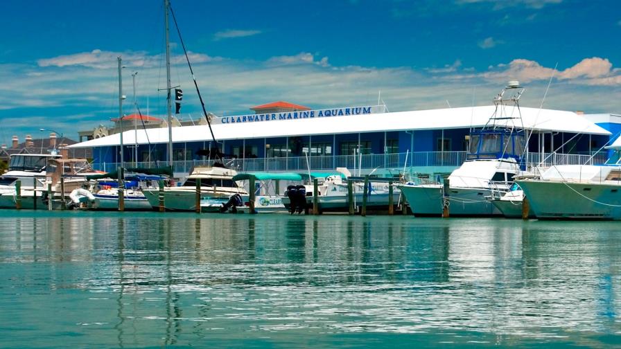 Cámara en acuario de Florida grabó a mujeres en un vestuario