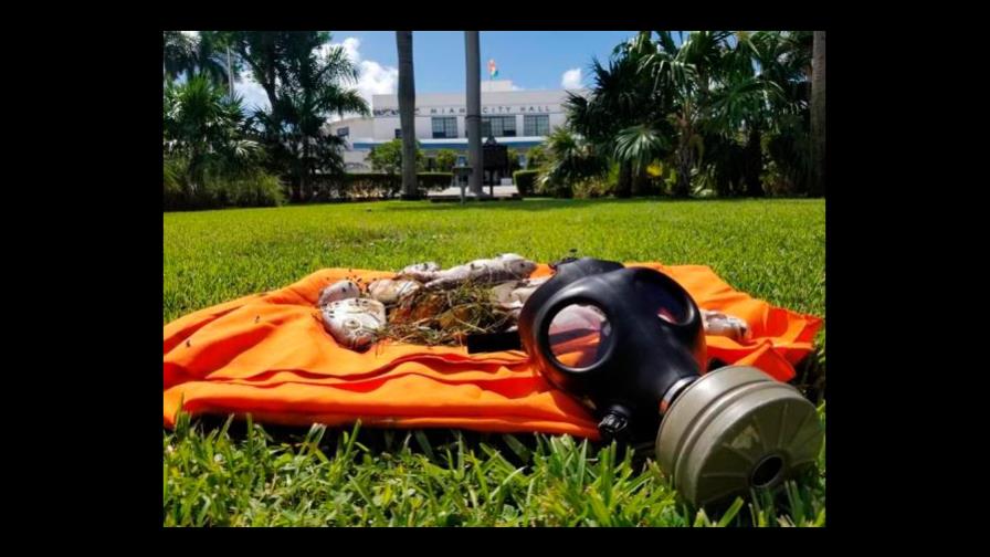 Activistas dejan peces muertos en Alcaldía de Miami en protesta por polución