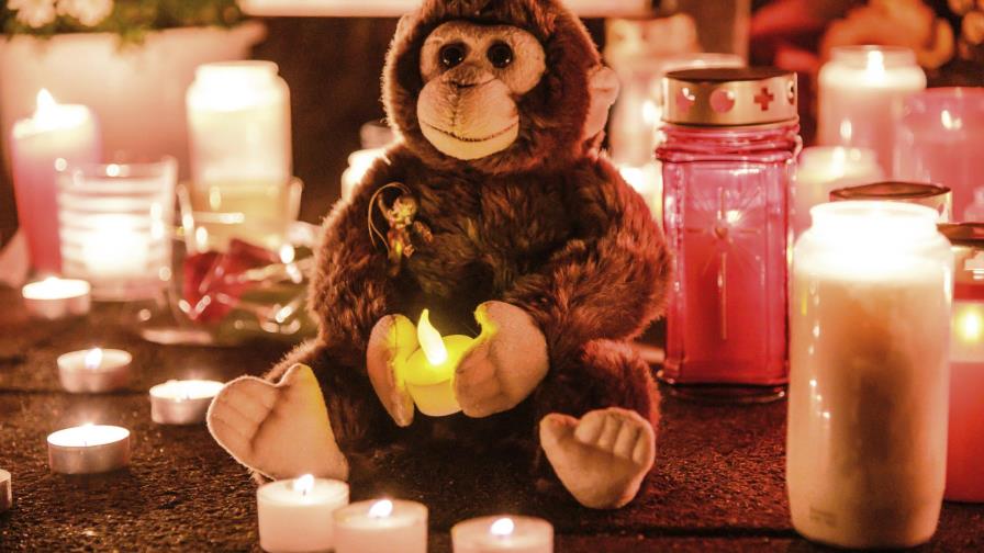 Reabren zoológico en Alemania luego de devastador incendio