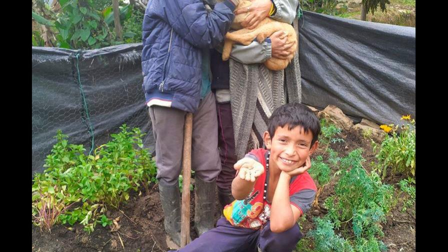 Una familia colombiana de campesinos se viraliza en YouTube en plena pandemia