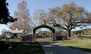 Venden finca Neverland de Michael Jackson a multimillonario