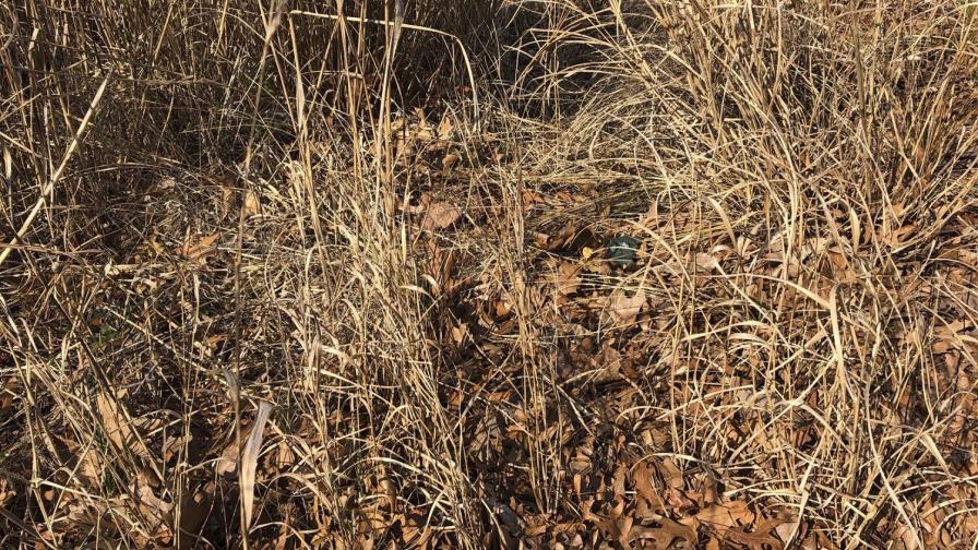 Cubrebocas terminan como basura en playas de todo el mundo Cubrebocas terminan como basura en playas de todo el mundo