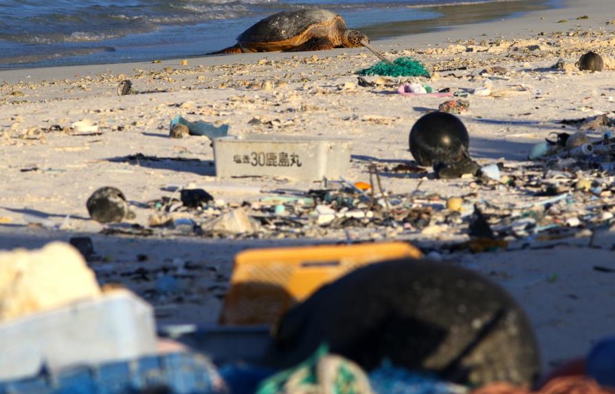 Plástico contamina refugio de aves marinas en el Pacífico