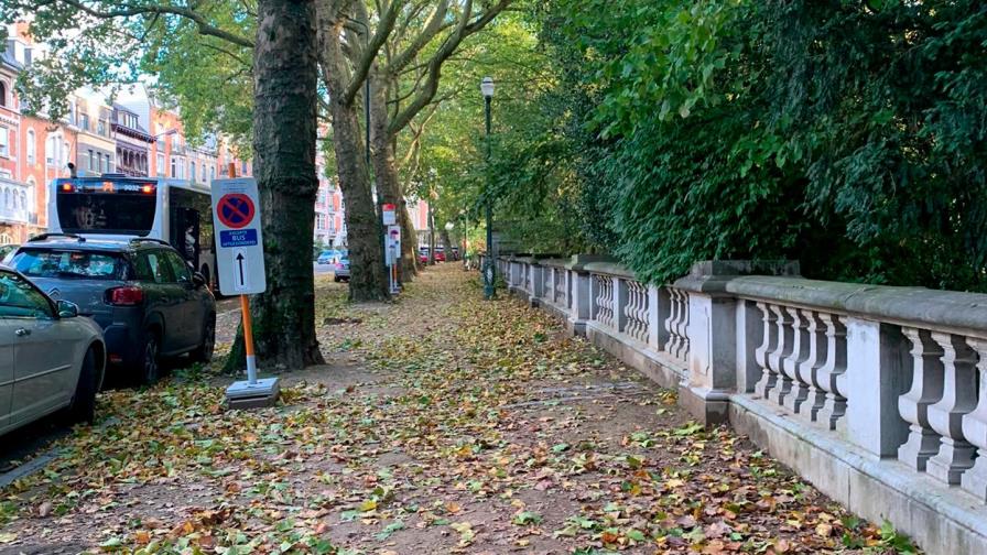 Altibajos de esperanzas Altibajos de esperanzas