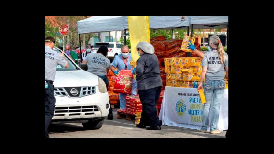 En el Miami-Dade del COVID-19 también reparten gratis comida para mascotas