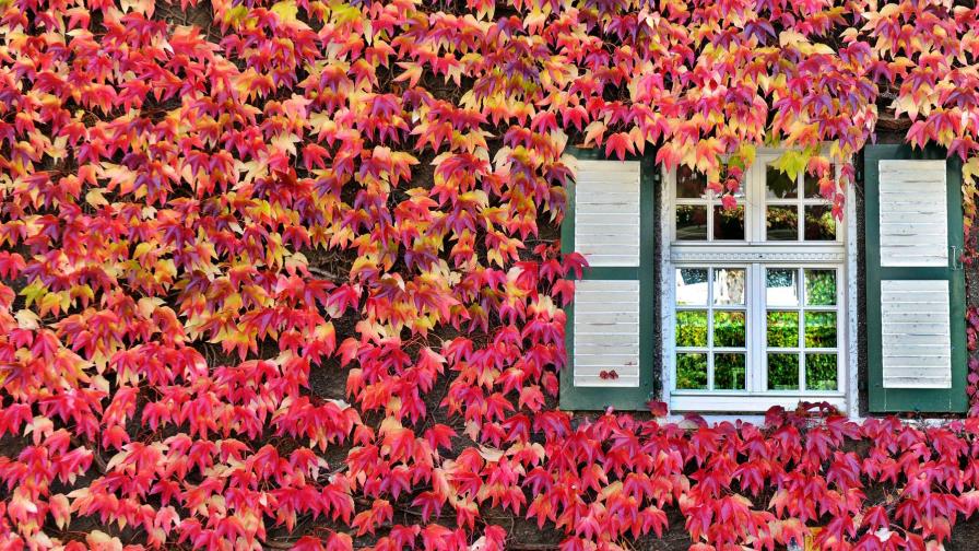 ¿Qué es el equinoccio de otoño, estación del año que comenzó este lunes?