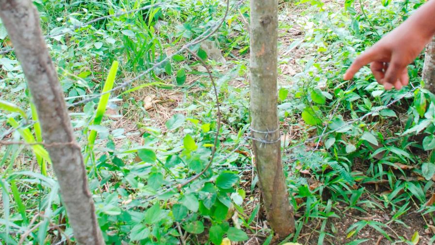 Niña de dos años muere electrocutada en Esperanza