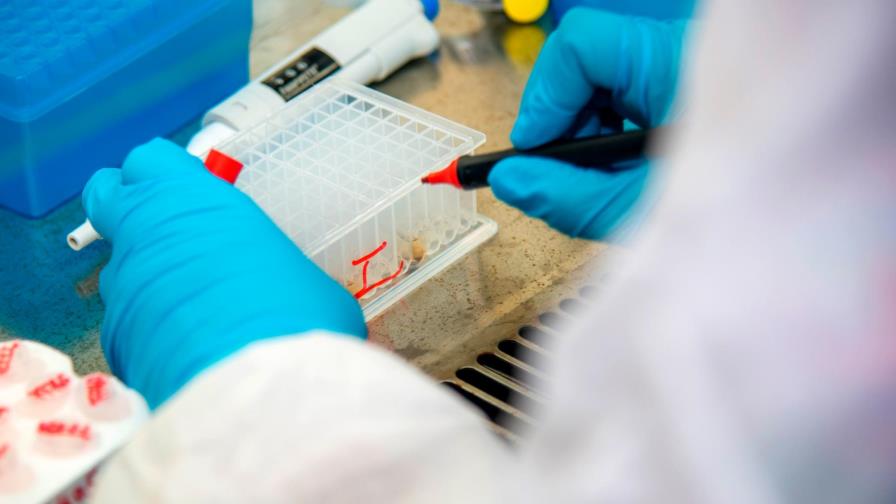 República Dominicana aun no registra casos de variante delta; se reportó uno de beta 