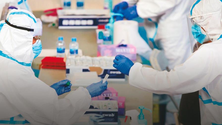 Investigan nanoanticuerpo sintético a partir de camélidos contra SARS-CoV-2 Investigan nanoanticuerpo sintético a partir de camélidos contra SARS-CoV-2