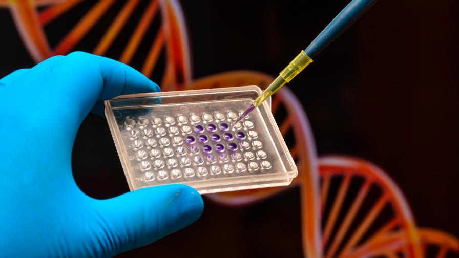 Solo del 1.5% al 7% de nuestros genes es exclusivo de nuestra especie Solo del 1.5% al 7% de nuestros genes es exclusivo de nuestra especie