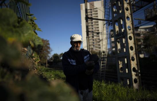 Huertos comunitarios cambian el paisaje urbano de Marsella