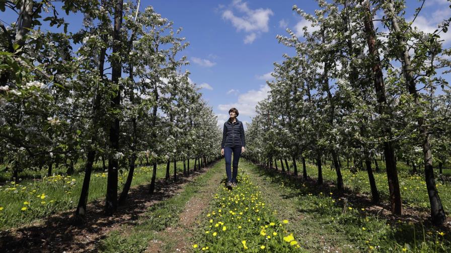 Agricultores británicos: Primero Brexit, ahora coronavirus