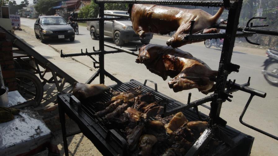 Camboya: Provincia turística prohíbe venta de carne de perro