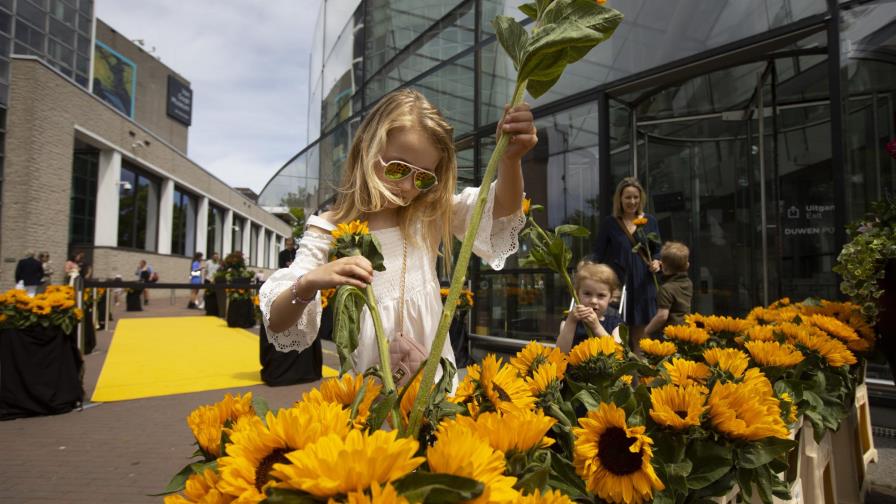 LO ÚLTIMO: Los museos en Holanda reabren al público
