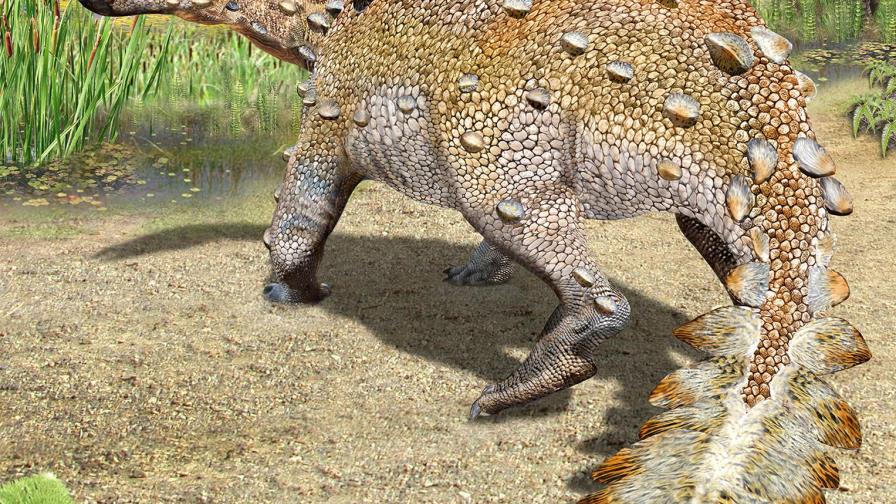 Dinosaurio en Chile tenía una cola cortante única: estudio