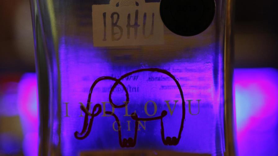 Ginebra sudafricana es reposada con estiércol de elefante