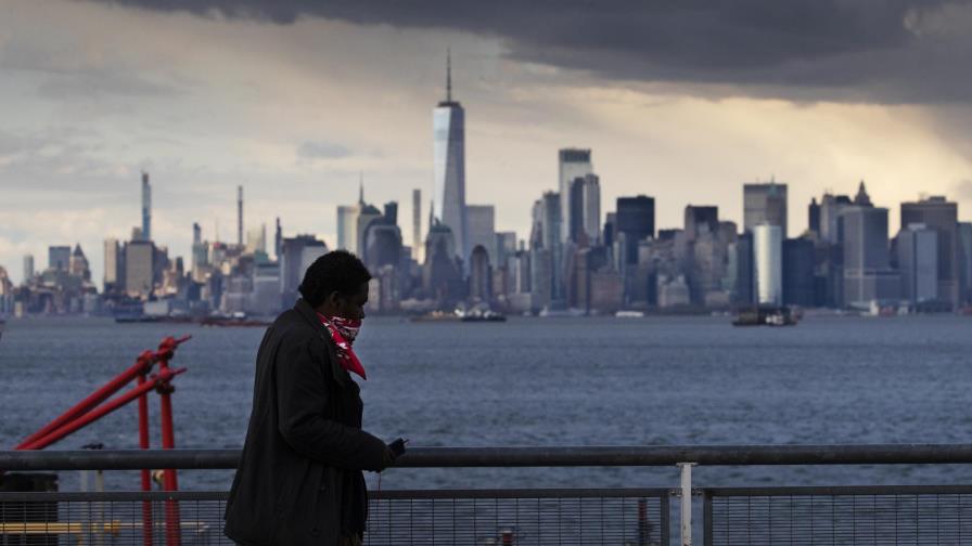 Dos gatos domésticos dan positivo a COVID-19 en Nueva York