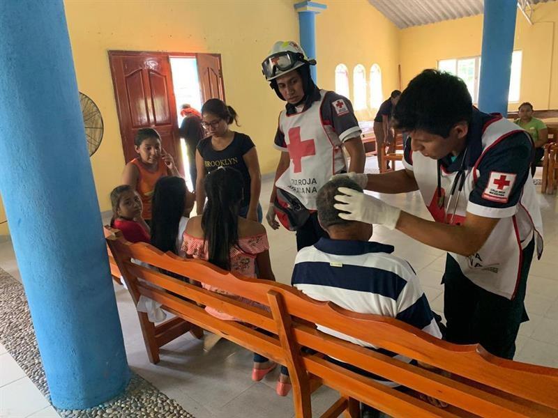 Enjambre de abejas ataca a feligreses durante viacrucis en sur de México
La Cruz Roja informó que 27 personas fueron afectadas, cuatro de ellas trasladas a un centro de salud