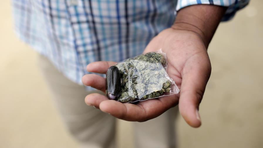 La UE registra un auge de la violencia del narcotráfico