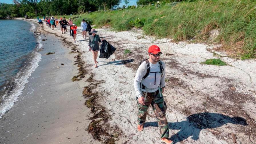 Los escasos manglares de Miami tienen quienes los cuiden
