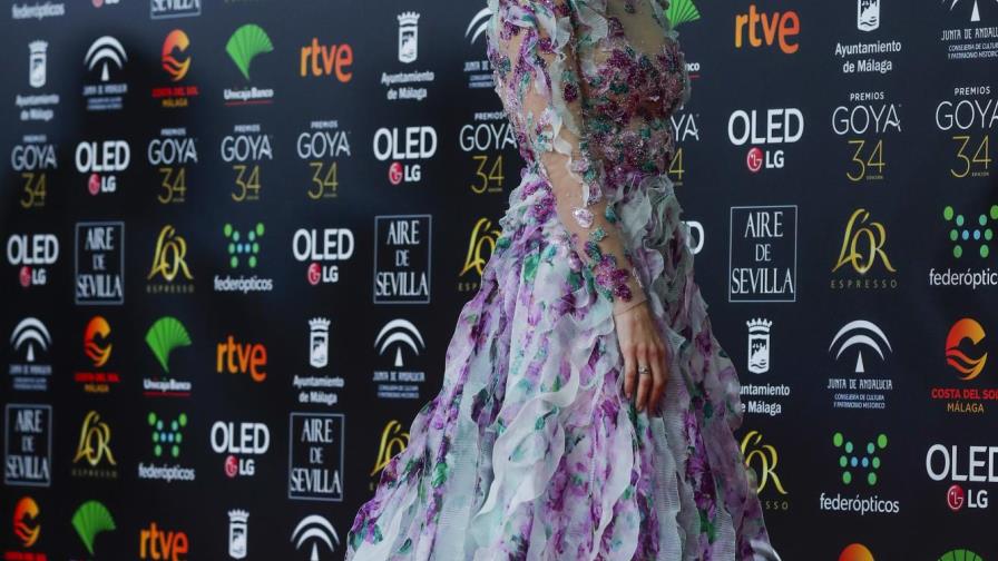 Almodóvar gana Goya por guión original por “Dolor y gloria”