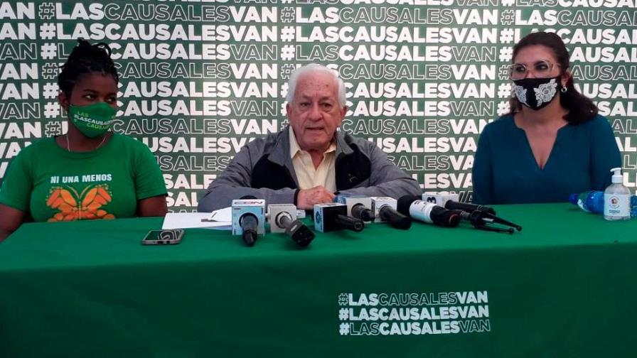 Academia de Ciencias: son constitucionales las tres causales del aborto en el Código Penal Academia de Ciencias: son constitucionales las tres causales del aborto en el Código Penal