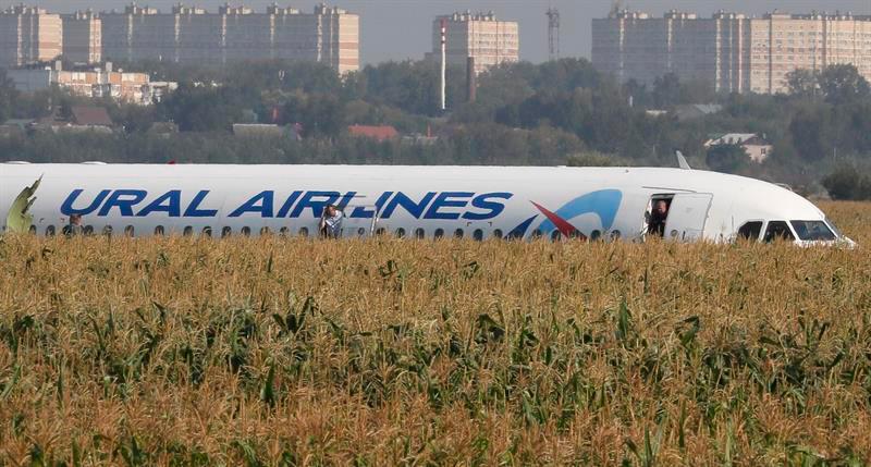 Un Airbus 321 aterriza de panza en un campo de maíz en las afueras de Moscú