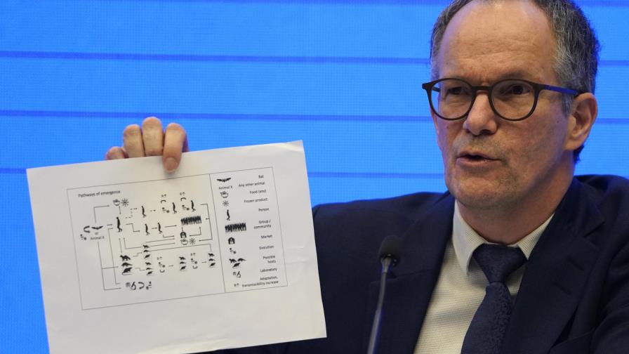 OMS: improbable que coronavirus saliese de laboratorio chino