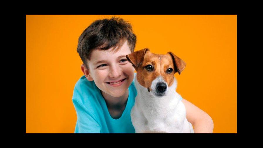 ¿Cuáles son las razas de perros que mejor conviven con los niños? ¿Cuáles son las razas de perros que mejor conviven con los niños?
