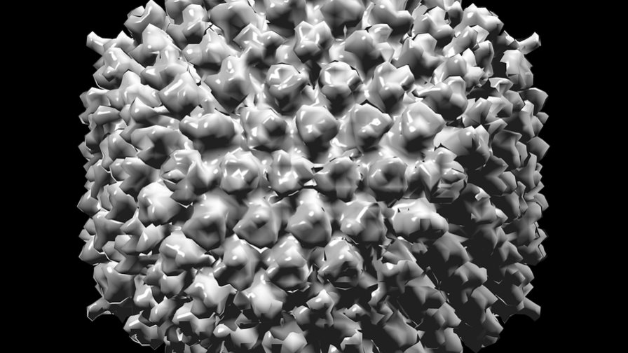 Médico boliviano se convierte en la tercera víctima del arenavirus Médico boliviano se convierte en la tercera víctima del arenavirus