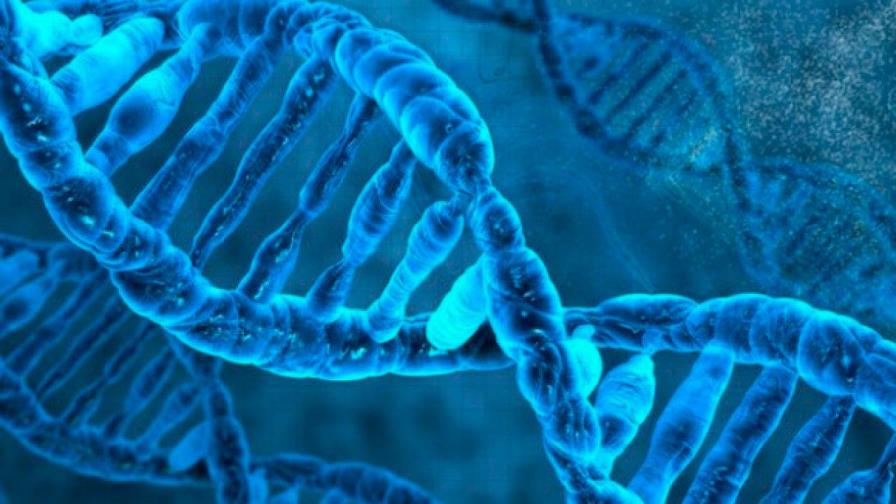 Descubren el mecanismo que deshace los nudos de las moléculas de ADN Descubren el mecanismo que deshace los nudos de las moléculas de ADN