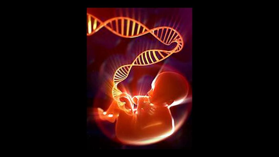 ADN libre: una revolución diagnóstica ADN libre: una revolución diagnóstica